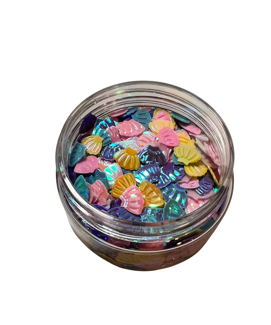 Seashells-Mix Colors